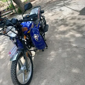 Fekon FK150-8G 2025