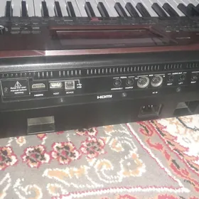 Korg pa 700 orental.