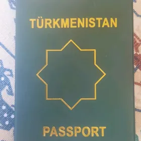 Passport tapylan