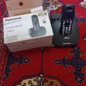 domasny telefon