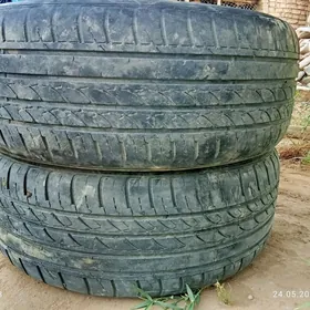 Teker 225.55.17R