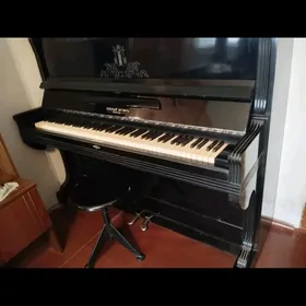 pionino
