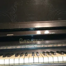 pianino