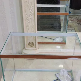 akwaryum