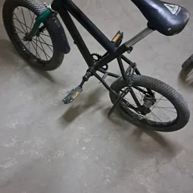 TIGIR 16 Lik