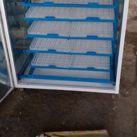 инкубатор inkubator