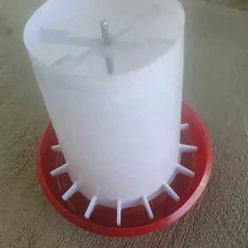 guşlaryň  im bedresi