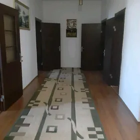 элитка