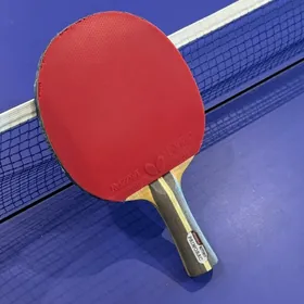 RAKETKA STOL TENNIS