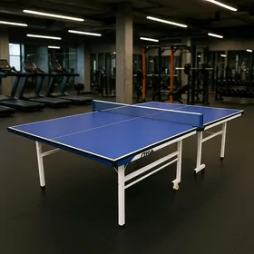 Tenis теннисный стол