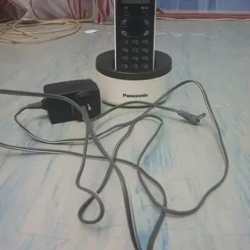 PANASONİC