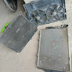 Radytr