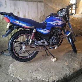 Fekon FK150-8G 2018