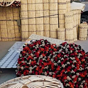 Gamyş AK öy garaja öý