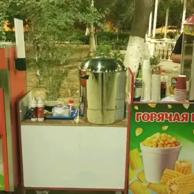 Morožny apparat, patrak appara