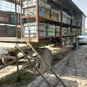 Balary ary teležka