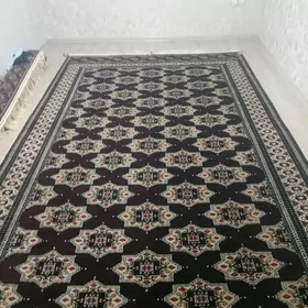 haly ak mayan yoly