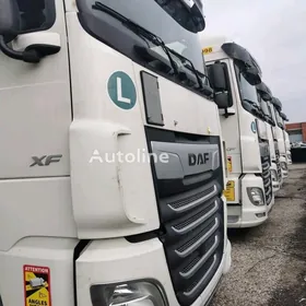 DAF 480 2020
