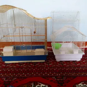 Guş ketek