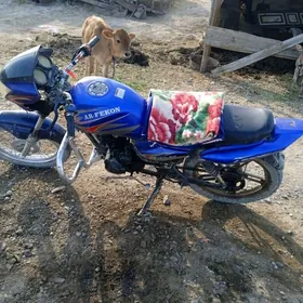 Fekon FK150-8G 2014