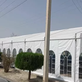 Palata han