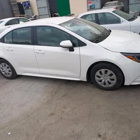 Toyota Corolla 2019