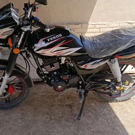 Fekon FK150-8G 2025