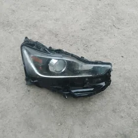 Lexsuz far