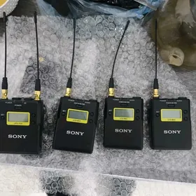 Elektronika