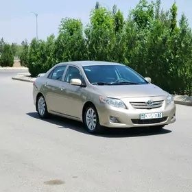 Toyota Corolla 2010