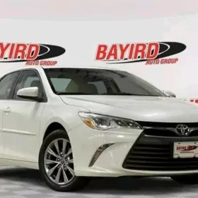 Camry Lexus Molding