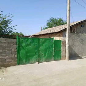 дача от хозяина геолог