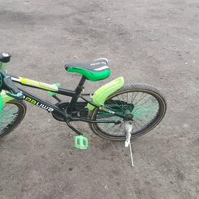 Tigir 20 lik