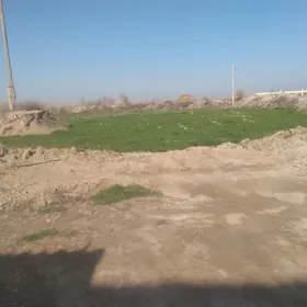 Ferma , hususy we  5 ga  ýeri bilen bile