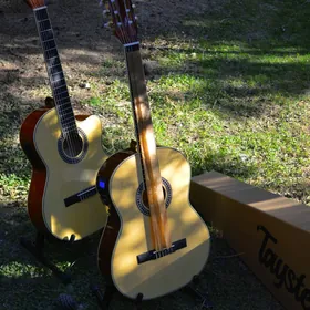 GITARA ELEKTRO KLASSIKA 