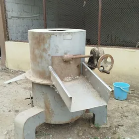 Kartoşka käşir arpa  üweýän