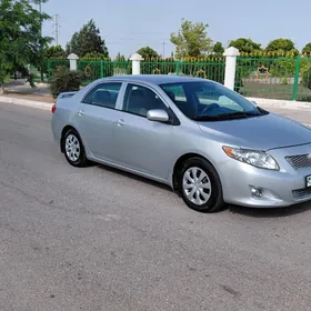 Toyota Corolla 2010