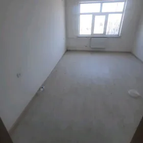 Satlyk Jaý Dwares Himik