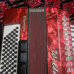 Weltmeister Capritco