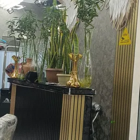 salon arenda