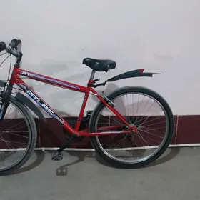 ATLAS SPORTİWNY WELOSİPED