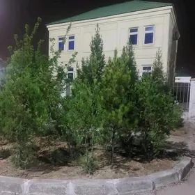 Çoganly kotedź 8sotok 140m kw