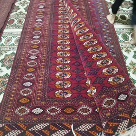 El haly inçe