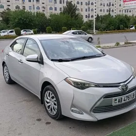 Toyota Corolla 2019