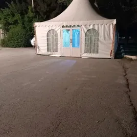 Gummez palata