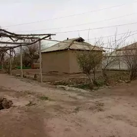 Türkmengala 25 sot budý t-gala