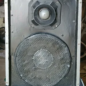 kolonkalap