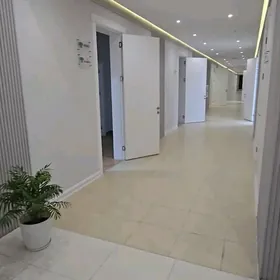 Arenda Arenda Pomishenya OFIS