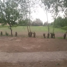 сатлык жай