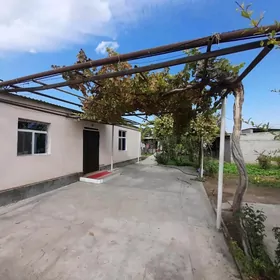 ÝANBAŞ OBA 8 SOTOK JAÝ GYSSAGL